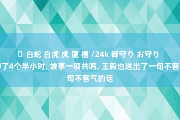 ✨白蛇 白虎 虎 龍 福 /24k 御守り お守り 中日聊了4个半小时， 竣事一项共鸣， 王毅也送出了一句不客气的话