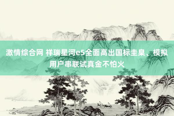 激情综合网 祥瑞星河e5全面高出国标圭臬、模拟用户串联试真金不怕火