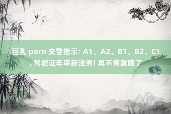 巨乳 porn 交警指示: A1、A2、B1、B2、C1， 驾驶证年审新法例! 再不懂就晚了