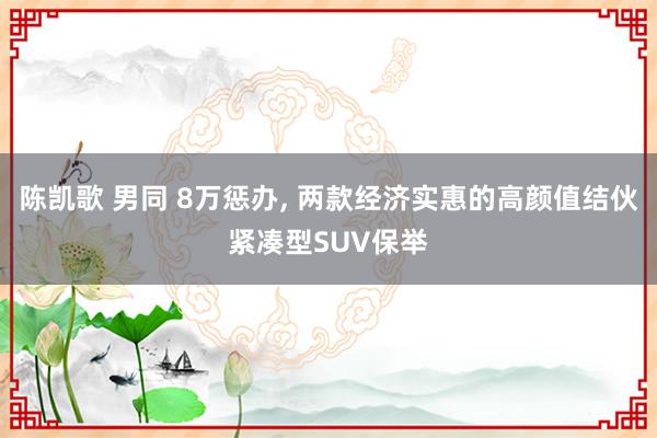 陈凯歌 男同 8万惩办， 两款经济实惠的高颜值结伙紧凑型SUV保举
