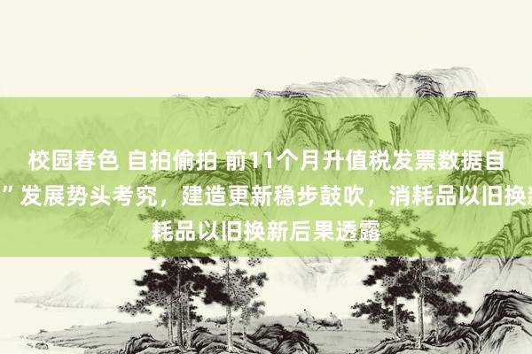 校园春色 自拍偷拍 前11个月升值税发票数据自满：“两新”发展势头考究，建造更新稳步鼓吹，消耗品以旧换新后果透露