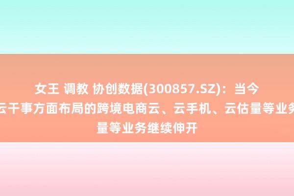 女王 调教 协创数据(300857.SZ)：当今公司算力云干事方面布局的跨境电商云、云手机、云估量等业务继续伸开
