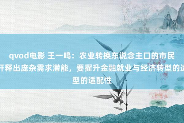 qvod电影 王一鸣：农业转换东说念主口的市民化会开释出庞杂需求潜能，要擢升金融就业与经济转型的适配性