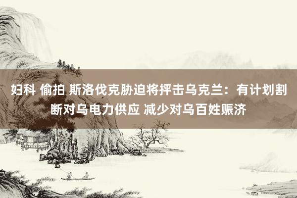 妇科 偷拍 斯洛伐克胁迫将抨击乌克兰：有计划割断对乌电力供应 减少对乌百姓赈济
