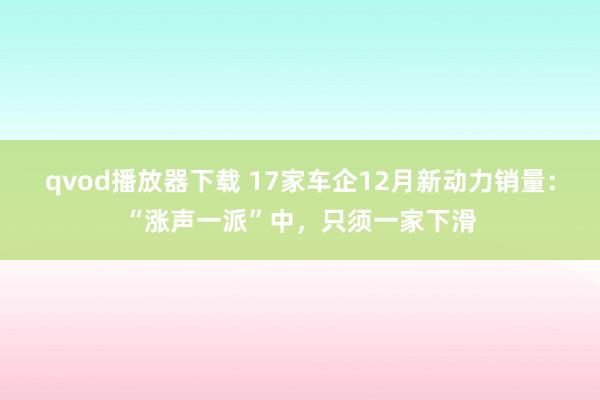 qvod播放器下载 17家车企12月新动力销量：“涨声一派”中，只须一家下滑