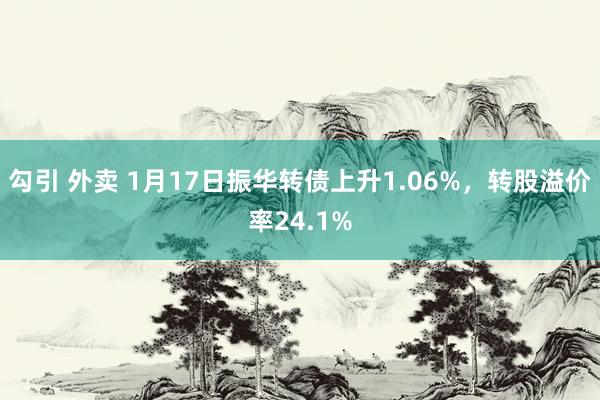 勾引 外卖 1月17日振华转债上升1.06%，转股溢价率24.1%