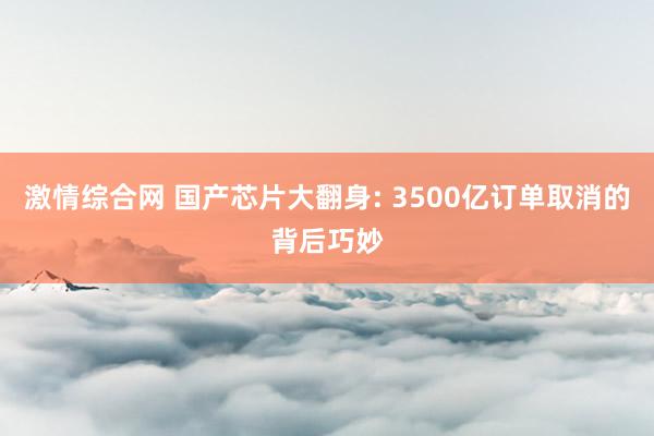 激情综合网 国产芯片大翻身: 3500亿订单取消的背后巧妙