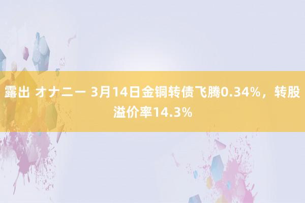 露出 オナニー 3月14日金铜转债飞腾0.34%，转股溢价率14.3%