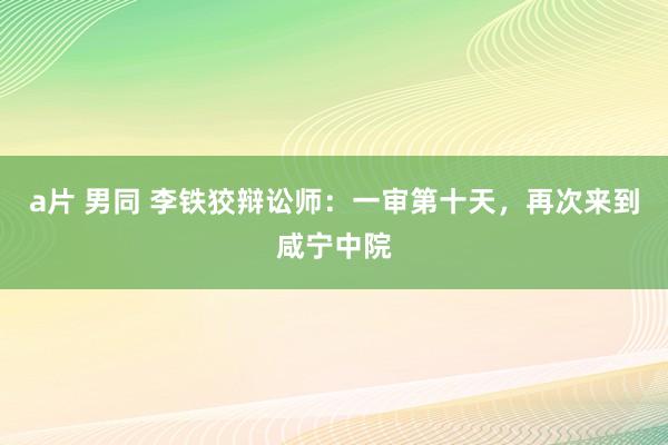 a片 男同 李铁狡辩讼师：一审第十天，再次来到咸宁中院