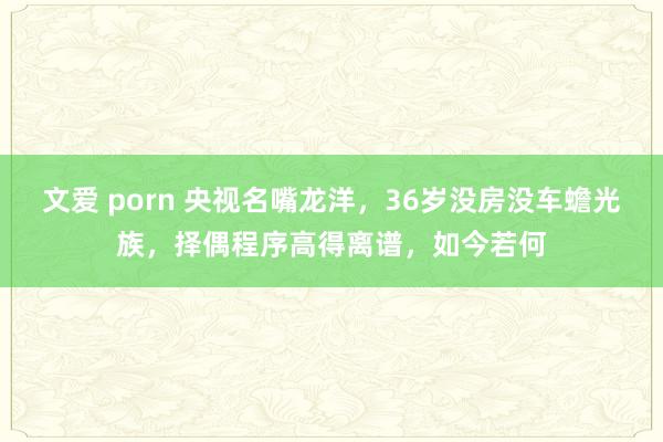 文爱 porn 央视名嘴龙洋，36岁没房没车蟾光族，择偶程序高得离谱，如今若何