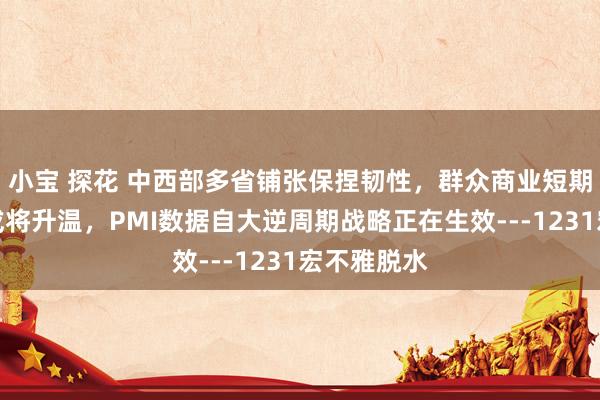 小宝 探花 中西部多省铺张保捏韧性，群众商业短期避险热情或将升温，PMI数据自大逆周期战略正在生效---1231宏不雅脱水