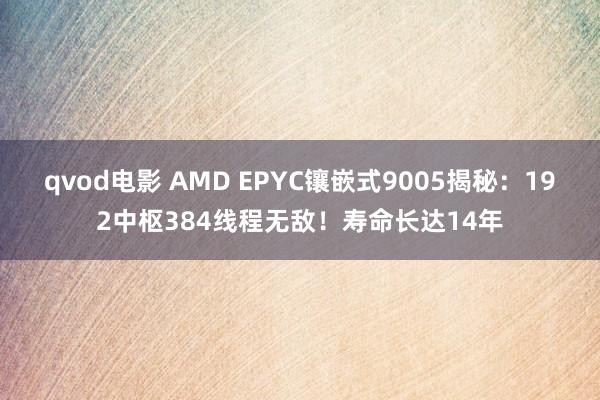 qvod电影 AMD EPYC镶嵌式9005揭秘：192中枢384线程无敌！寿命长达14年