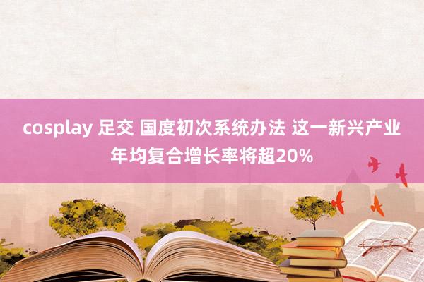 cosplay 足交 国度初次系统办法 这一新兴产业年均复合增长率将超20%