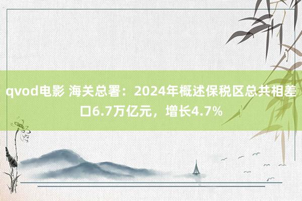qvod电影 海关总署：2024年概述保税区总共相差口6.7万亿元，增长4.7%