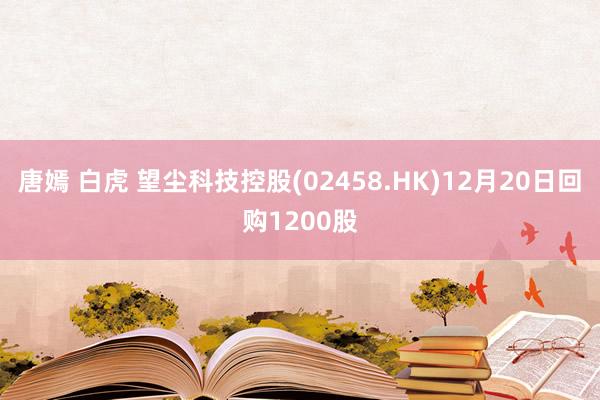唐嫣 白虎 望尘科技控股(02458.HK)12月20日回购1200股