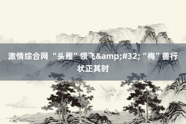激情综合网 “头雁”领飞&#32;“梅”善行状正其时