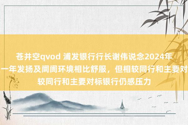苍井空qvod 浦发银行行长谢伟说念2024年级迹：联系于上一年发扬及阛阓环境相比舒服，但相较同行和主要对标银行仍感压力