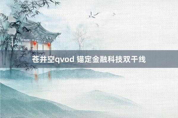苍井空qvod 锚定金融科技双干线