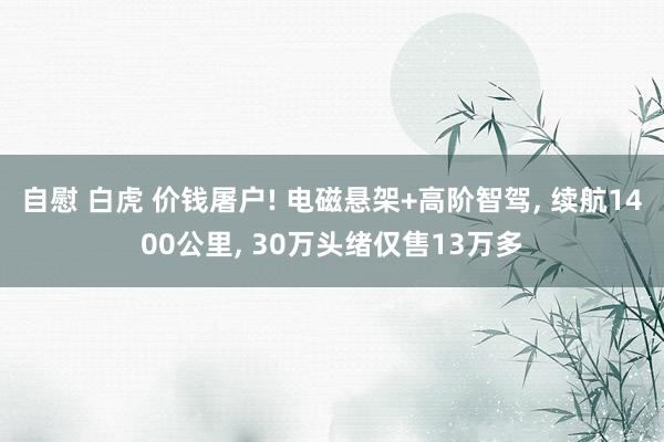 自慰 白虎 价钱屠户! 电磁悬架+高阶智驾， 续航1400公里， 30万头绪仅售13万多