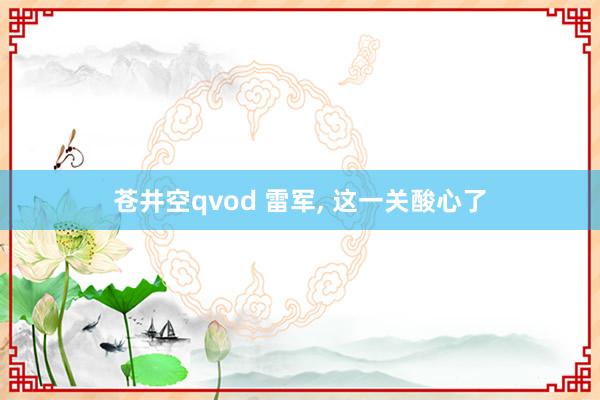 苍井空qvod 雷军， 这一关酸心了