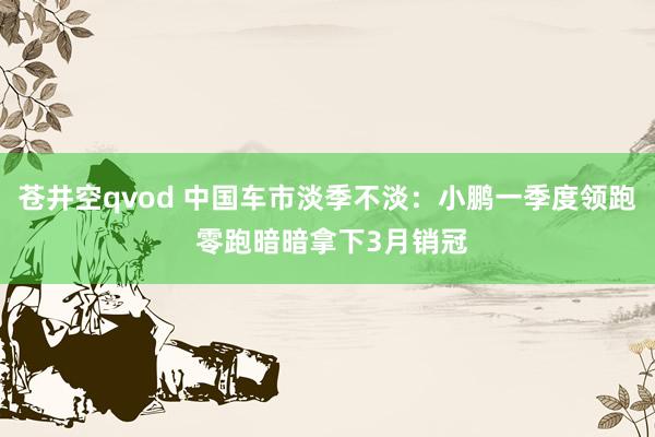 苍井空qvod 中国车市淡季不淡：小鹏一季度领跑 零跑暗暗拿下3月销冠