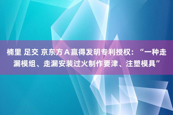 楠里 足交 京东方Ａ赢得发明专利授权：“一种走漏模组、走漏安装过火制作要津、注塑模具”