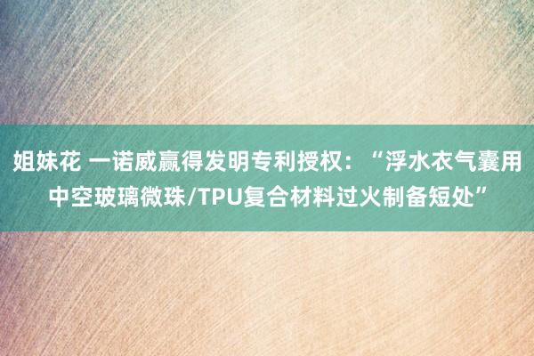 姐妹花 一诺威赢得发明专利授权：“浮水衣气囊用中空玻璃微珠/TPU复合材料过火制备短处”