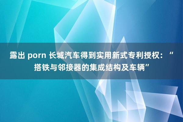 露出 porn 长城汽车得到实用新式专利授权：“搭铁与邻接器的集成结构及车辆”