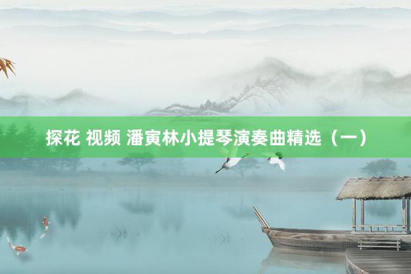 探花 视频 潘寅林小提琴演奏曲精选（一）