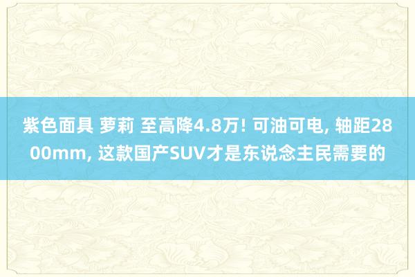 紫色面具 萝莉 至高降4.8万! 可油可电， 轴距2800mm， 这款国产SUV才是东说念主民需要的
