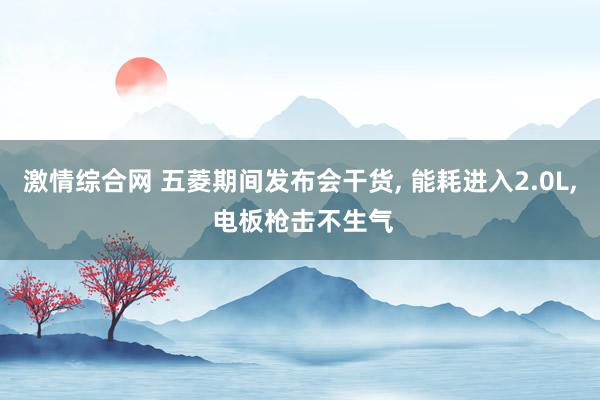 激情综合网 五菱期间发布会干货， 能耗进入2.0L， 电板枪击不生气
