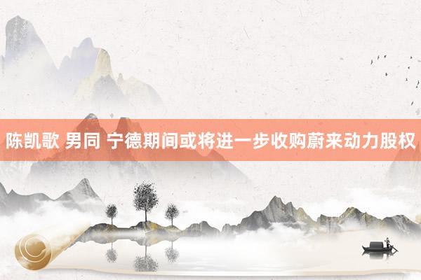 陈凯歌 男同 宁德期间或将进一步收购蔚来动力股权