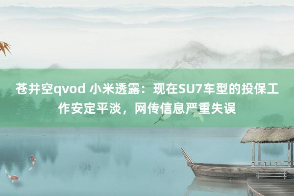 苍井空qvod 小米透露：现在SU7车型的投保工作安定平淡，网传信息严重失误