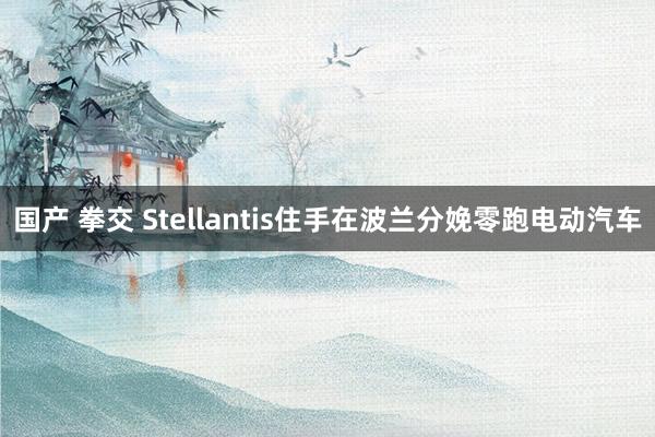 国产 拳交 Stellantis住手在波兰分娩零跑电动汽车