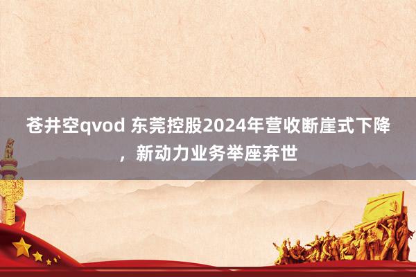 苍井空qvod 东莞控股2024年营收断崖式下降，新动力业务举座弃世