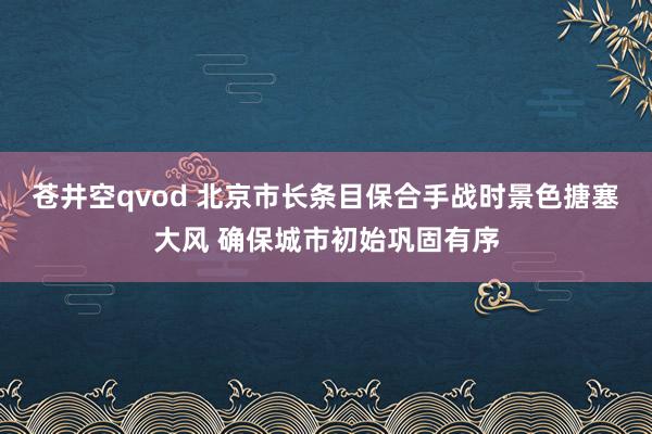 苍井空qvod 北京市长条目保合手战时景色搪塞大风 确保城市初始巩固有序