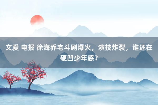 文爱 电报 徐海乔宅斗剧爆火，演技炸裂，谁还在硬凹少年感？