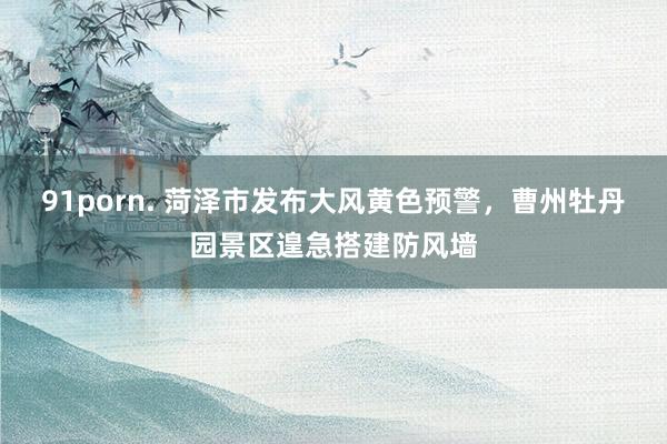 91porn. 菏泽市发布大风黄色预警，曹州牡丹园景区遑急搭建防风墙