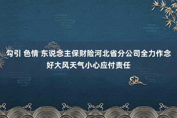 勾引 色情 东说念主保财险河北省分公司全力作念好大风天气小心应付责任