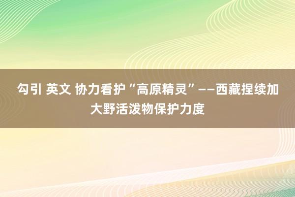 勾引 英文 协力看护“高原精灵”——西藏捏续加大野活泼物保护力度