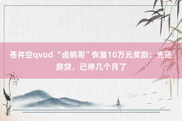 苍井空qvod “卤鹅哥”恢复10万元奖励：先还房贷，已停几个月了