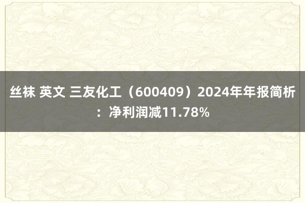 丝袜 英文 三友化工（600409）2024年年报简析：净利润减11.78%