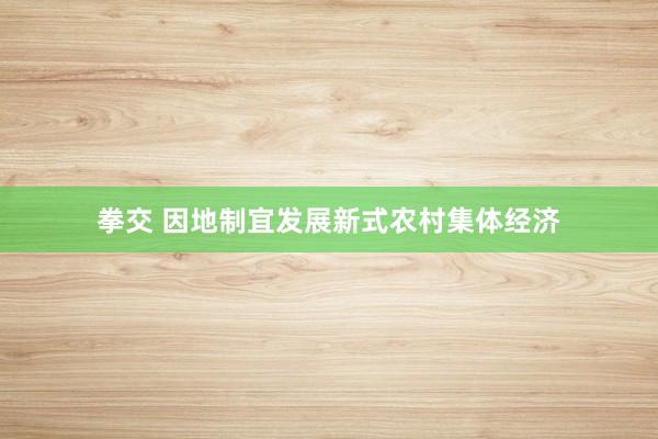 拳交 因地制宜发展新式农村集体经济