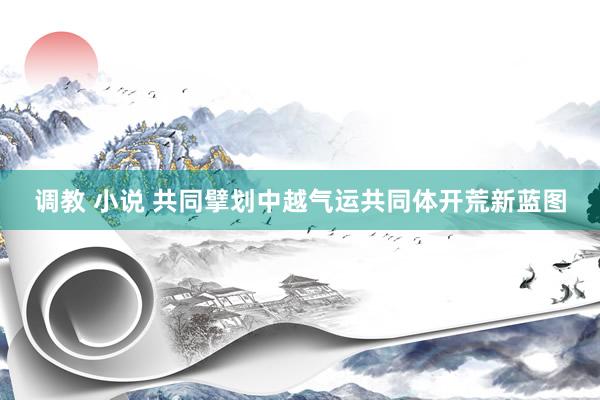 调教 小说 共同擘划中越气运共同体开荒新蓝图