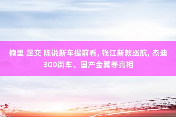 楠里 足交 陈说新车提前看， 钱江新款巡航， 杰迪300街车、国产金翼等亮相