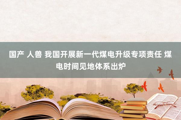 国产 人兽 我国开展新一代煤电升级专项责任 煤电时间见地体系出炉