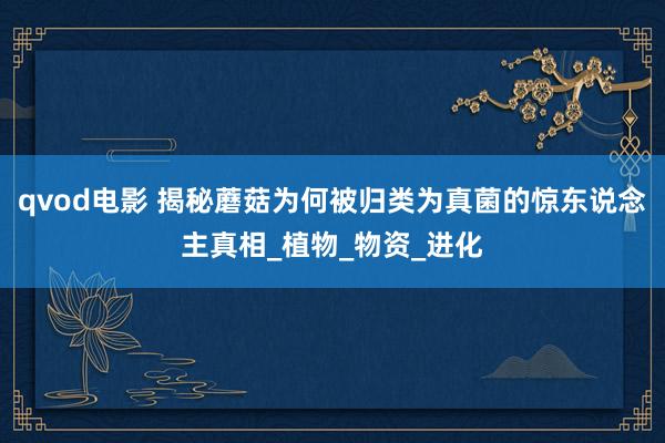qvod电影 揭秘蘑菇为何被归类为真菌的惊东说念主真相_植物_物资_进化