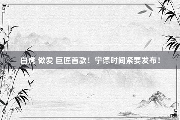 白虎 做爱 巨匠首款！宁德时间紧要发布！