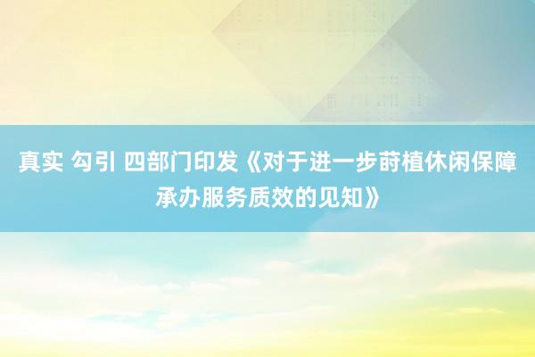 真实 勾引 四部门印发《对于进一步莳植休闲保障承办服务质效的见知》