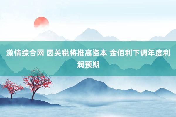 激情综合网 因关税将推高资本 金佰利下调年度利润预期